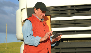 New Technologies Help Level the Playing Field for Independent Truckers