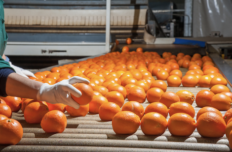 Is The Reefer Supply Chain Starting To Balance Out?