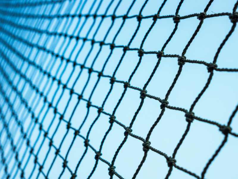 How to Maintain Truckload Cost & Service During Disruption (Do You Have A Safety Net?)