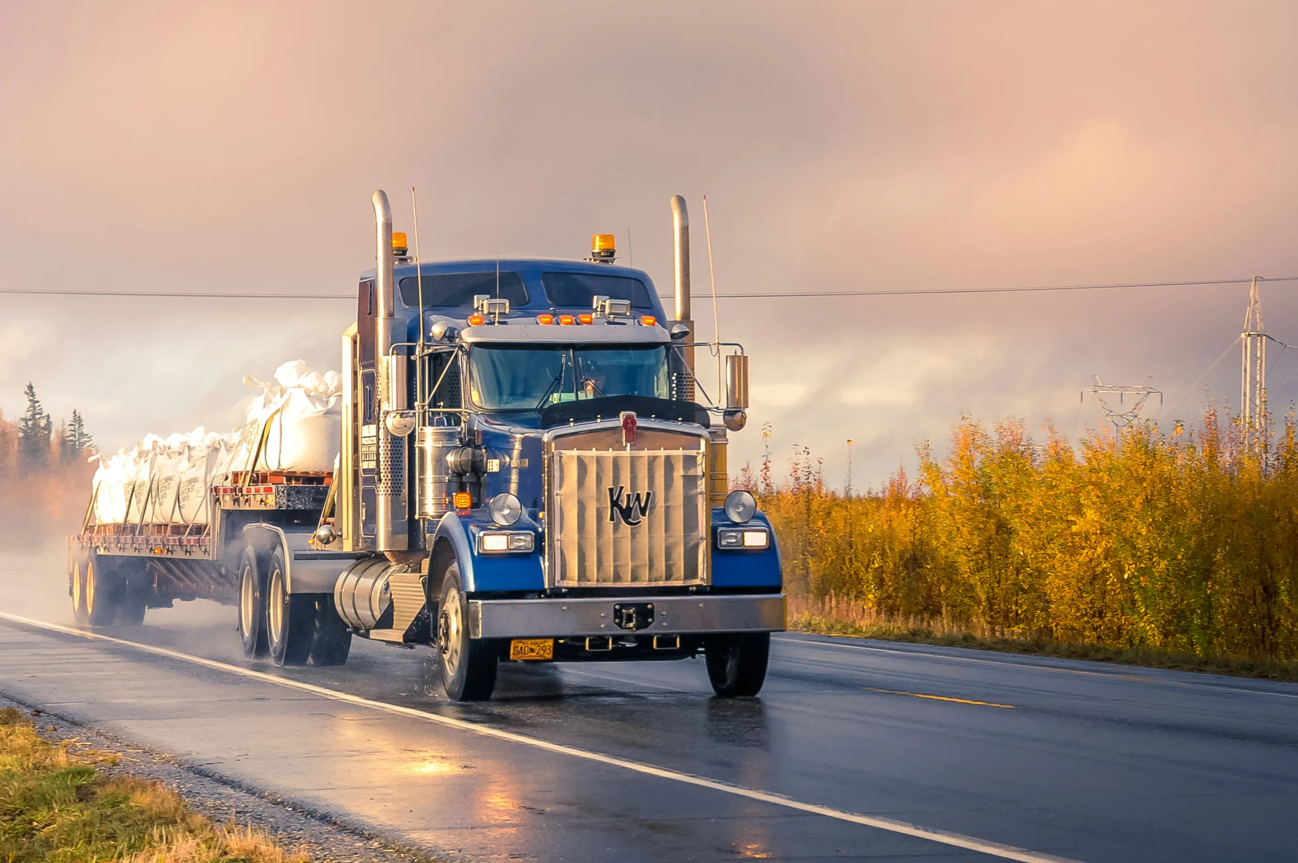 Meet the Logistician!